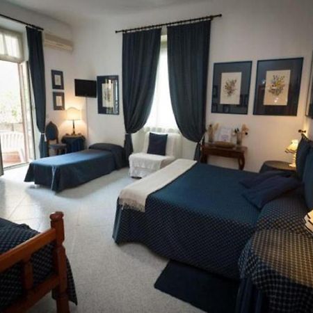 A Casa Di Serena A San Pietro Roma Eksteriør billede